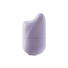 CleanCanvas Gua Sha Silicone Facial Ice Mold
